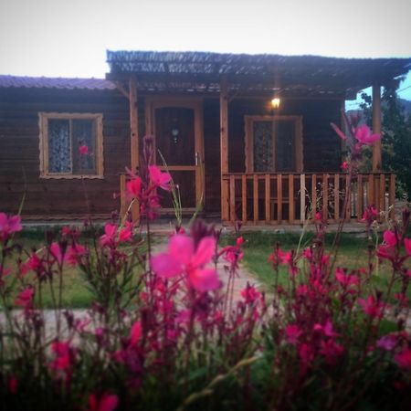 Ipekce Tatil Evleri Mesudiye  エクステリア 写真