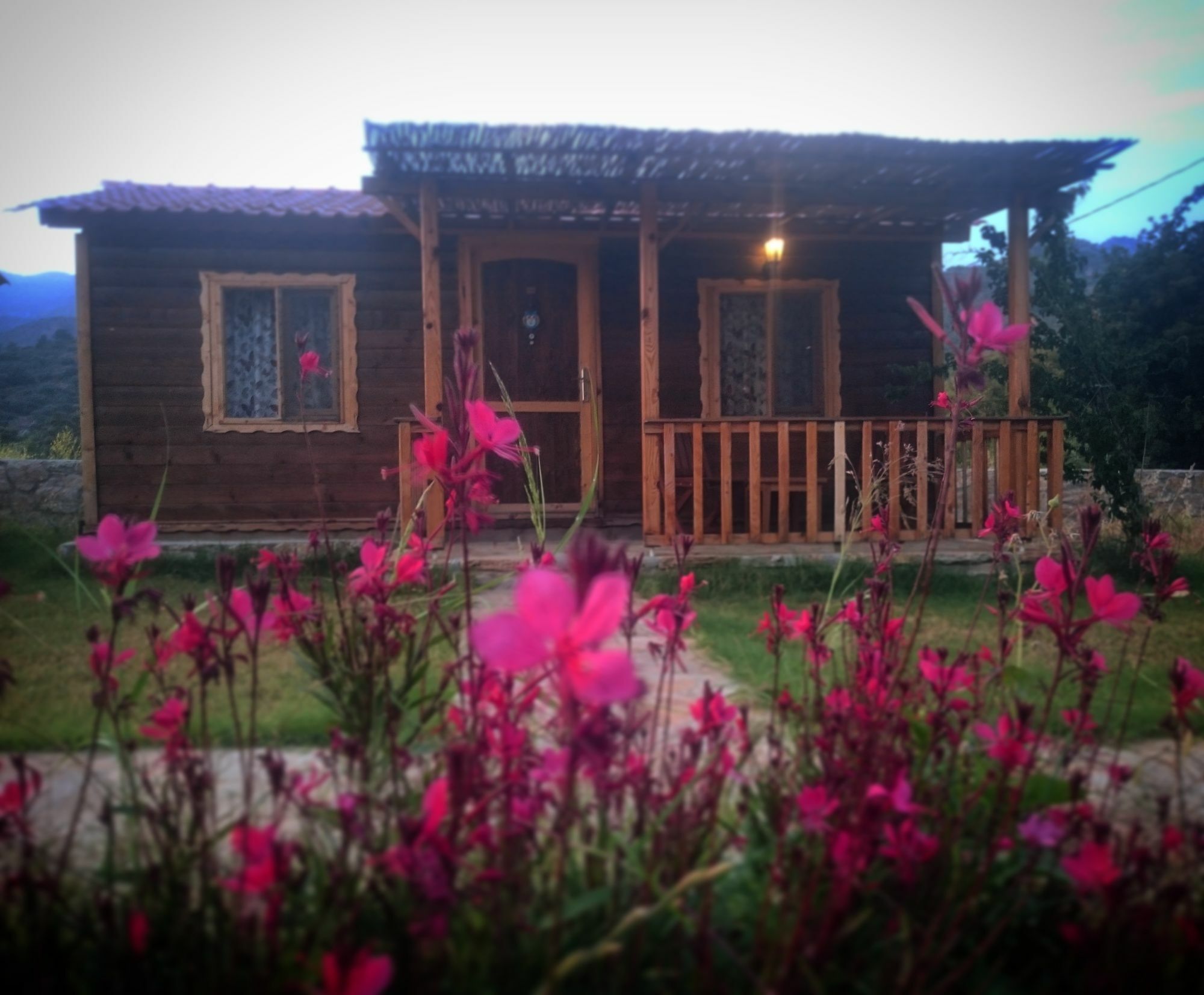 Ipekce Tatil Evleri Mesudiye  エクステリア 写真