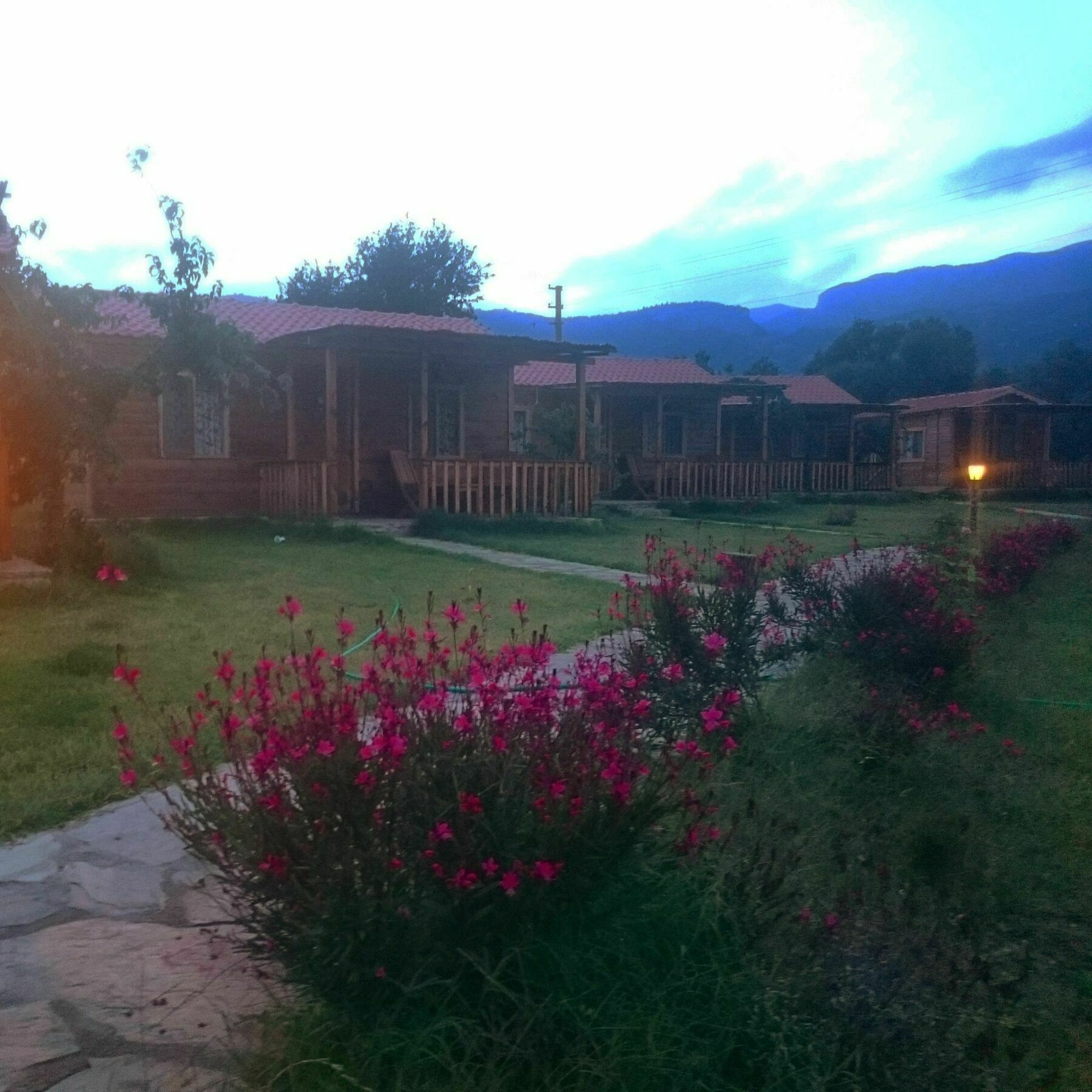 Ipekce Tatil Evleri Mesudiye  エクステリア 写真